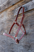 Load image into Gallery viewer, Brown Leather Halter with Cream Stitching