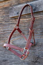 Load image into Gallery viewer, Brown Leather Halter with Cream Stitching