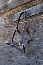 Load image into Gallery viewer, Dark Brown Leather Halter with Brown and Cream Stitching