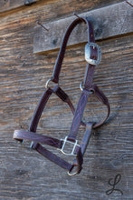 Load image into Gallery viewer, Dark Brown Leather Halter with Purple Buckstitch and Stitching