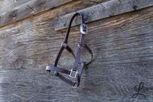 Load image into Gallery viewer, Dark Brown Leather Halter with Purple Buckstitch and Stitching