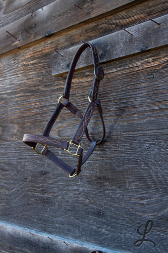 Dark Brown Leather Halter with Brass Hardware, Gold Stitching