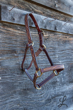Load image into Gallery viewer, Dark Brown Leather Halter with Brass Hardware, Gold Stitching