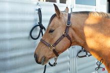 Load image into Gallery viewer, Dark Brown Leather Halter with Brass Hardware, Gold Stitching