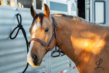 Load image into Gallery viewer, Dark Brown Leather Halter with Brass Hardware, Gold Stitching