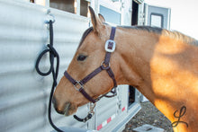 Load image into Gallery viewer, Dark Brown Leather Halter with Purple Buckstitch and Stitching