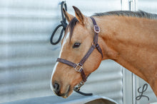 Load image into Gallery viewer, Dark Brown Leather Halter with Brown and Cream Stitching