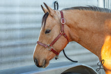 Load image into Gallery viewer, Brown Leather Halter with Cream Stitching