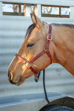 Load image into Gallery viewer, Brown Leather Halter with Cream Stitching